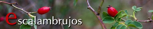 Escalambrujos.